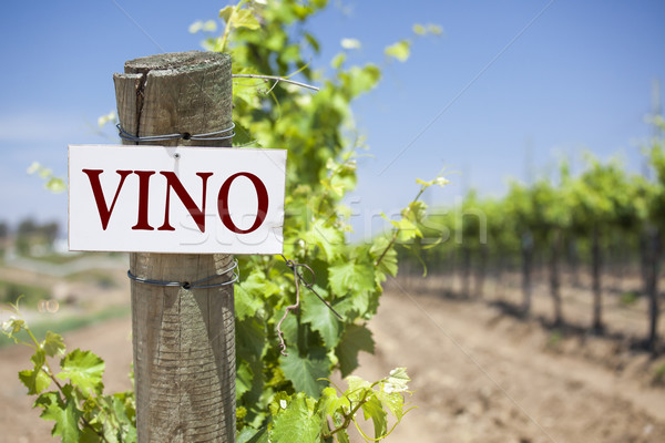 Vino Sign On Vineyard Post Stock photo © feverpitch