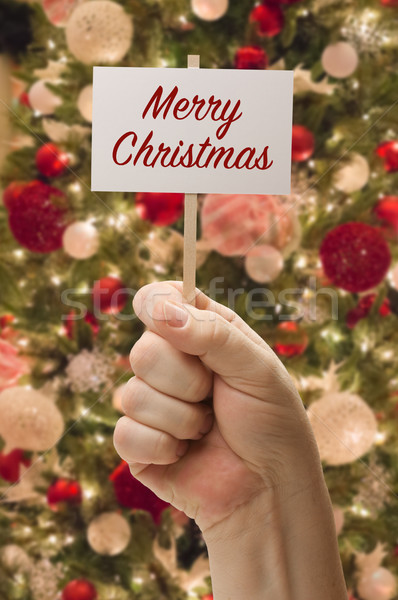 Hand Holding Merry Christmas Card In Front of Decorated Christma Stock photo © feverpitch
