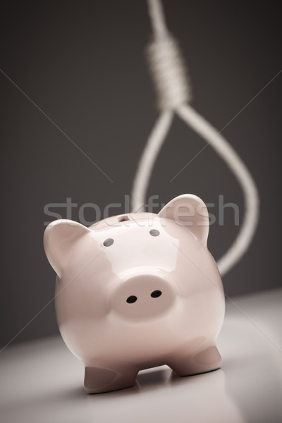 Foto stock: Alcancía · detrás · gris · financiar · cuerda · rosa