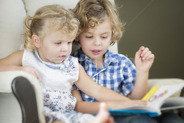 Jóvenes hermano hermana lectura libro junto Foto stock © feverpitch