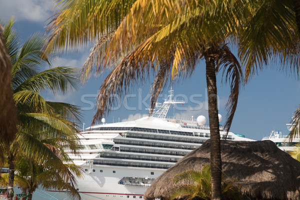 Cruise Ships Docked at Tropical Port of Call Stock photo © feverpitch