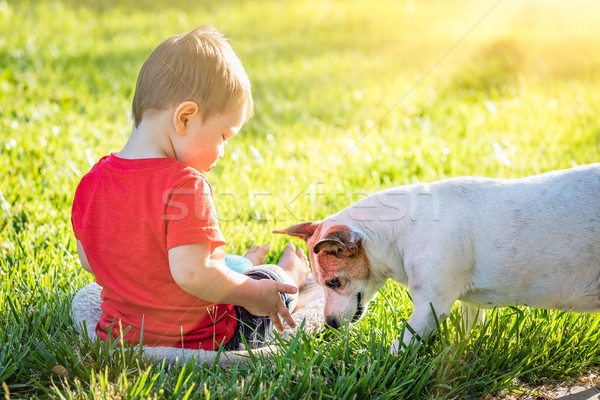 Cute Baby Boy Sitting In Grass Playing With Dog Stock photo © feverpitch