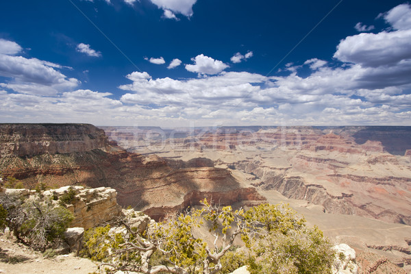 Bella Grand Canyon panorama view Arizona cielo Foto d'archivio © feverpitch