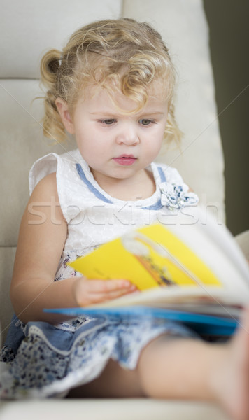 Azul nina lectura libro adorable Foto stock © feverpitch
