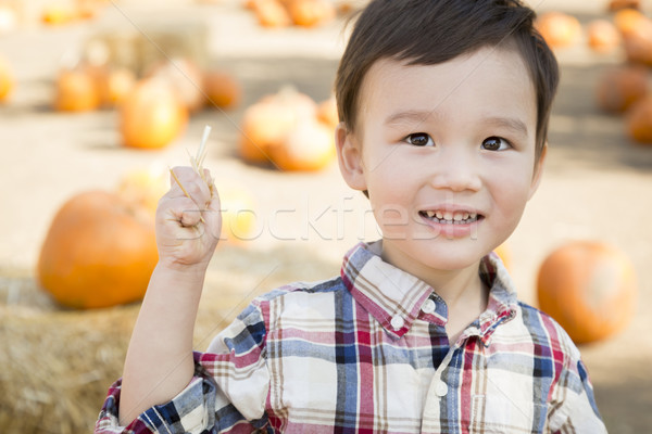 Młody chłopak dynia cute Zdjęcia stock © feverpitch