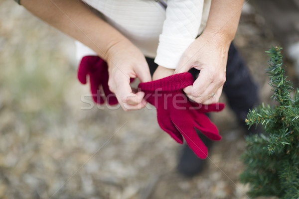 Mother Putting Red Mittens On Child Stock photo © feverpitch