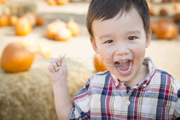 Młody chłopak dynia cute Zdjęcia stock © feverpitch