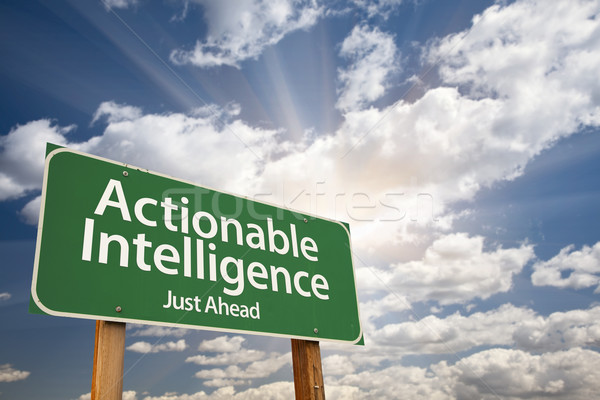 Actionable Intelligence Green Road Sign Stock photo © feverpitch