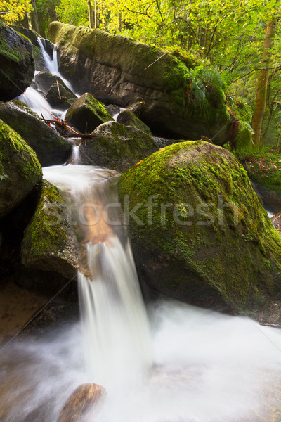 Musgo cubierto rocas cascadas negro forestales Foto stock © fisfra