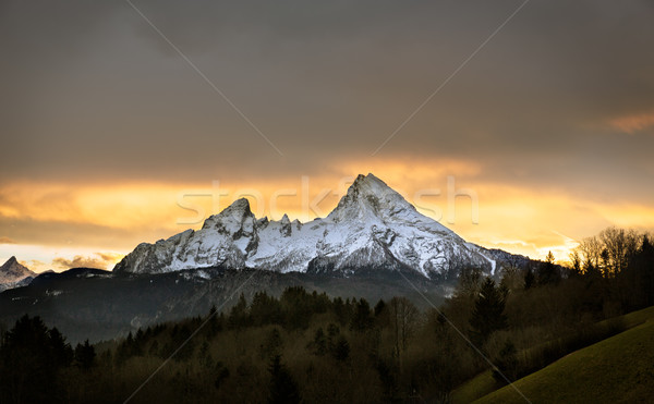 Puesta de sol tierra Alemania paisaje nieve árboles Foto stock © fisfra