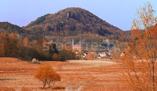 Landscape at fall in Pfaelzer Wald, Germany Stock photo © fisfra