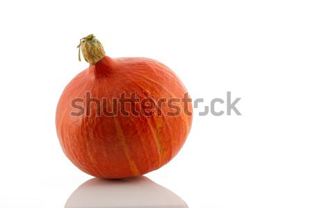 Isolated Pumpkin (lat. Cucurbita) Stock photo © fisfra