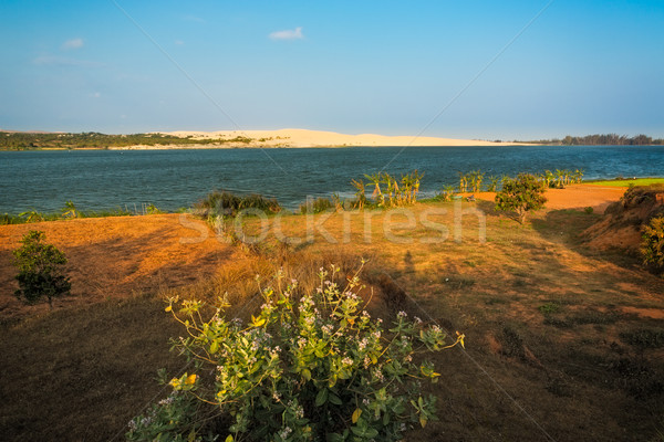 Fehér homok tó Vietnam víz természet nyár Stock fotó © fisfra