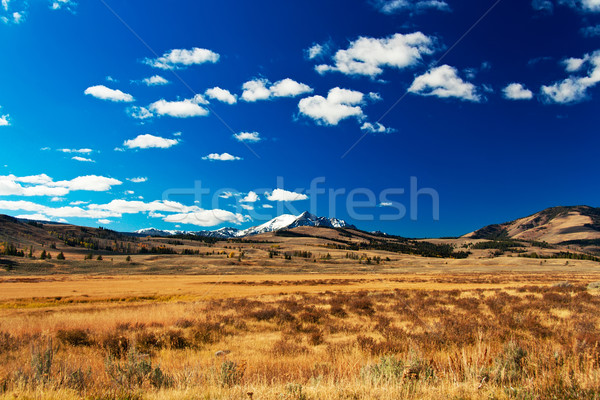 Yellowstone National Park: Hayden Valley with snowcapped mountains Stock photo © fisfra