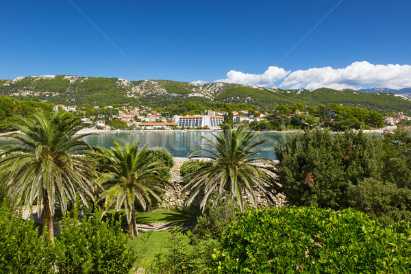 Coast at Adriatic Sea, Rab Island, Croatia Stock photo © fisfra