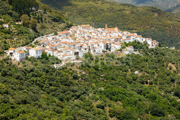 Andalusian village (Pueblos Blancos) in Sierra de las Nieves, Ma Stock photo © fisfra