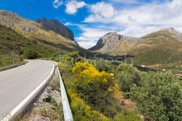 Pass road in Andalusia, Spain Stock photo © fisfra