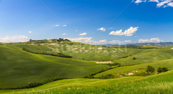 Hilly landscape with blue skies in Crete Senesi, Asciano, Siena, Italy Stock photo © fisfra