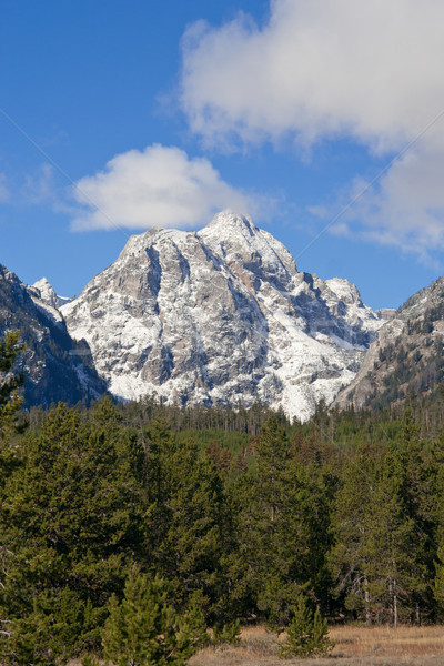 Stok fotoğraf: Dağ · park · Wyoming · ABD · gökyüzü · bulutlar