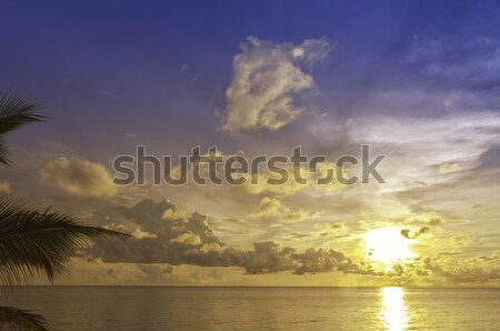 Sand beach at sunset in Phu Quoc close to Duong Dong, South China Sea, Vietnam Stock photo © fisfra