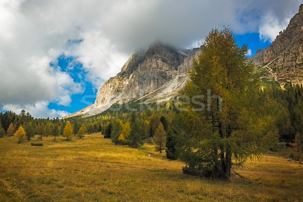 Landscape in autumn at Passo Falzarego, Dolomites, Italian Alps Stock photo © fisfra