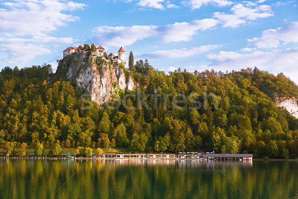 Bled Castle with Lake Bled, Slovenia Stock photo © fisfra