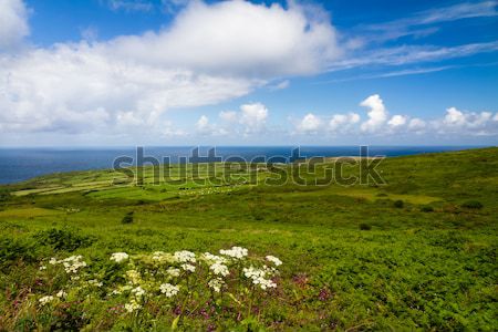 Cornish coast between Lands End and St. Ives, Cornwall, England  Stock photo © fisfra