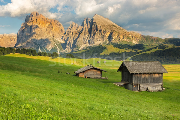Langkofel Group at Seiser Alm, South Tyrol, Italy Stock photo © fisfra