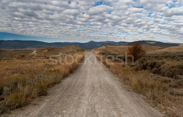 Unpaved Road in Montana Stock photo © fisfra