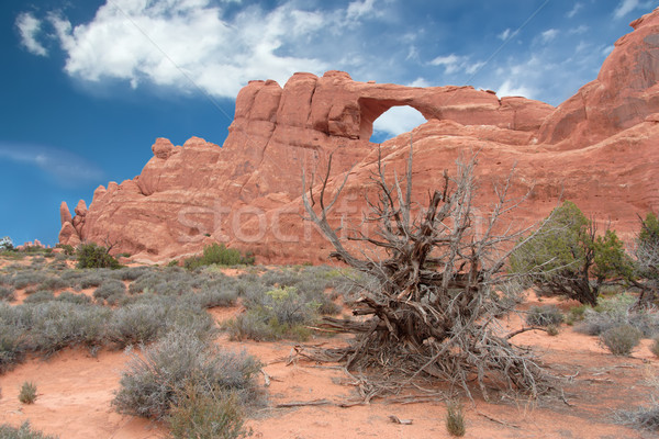 Skyline Arch at Arches National Park, Utah, USA Stock photo © fisfra