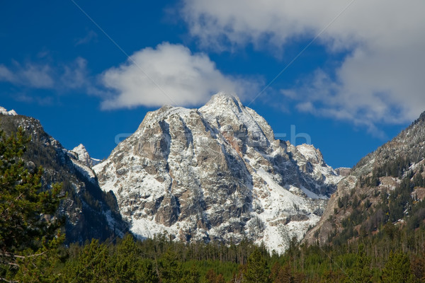 Foto stock: Montanha · parque · Wyoming · EUA · céu · nuvens