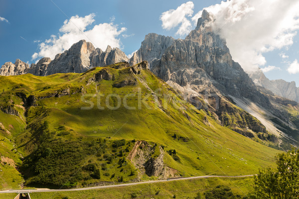 Alpi Italia natură stradă vară verde Imagine de stoc © fisfra