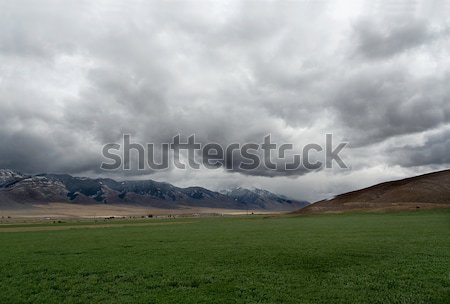 Tájkép western USA Montana hó zöld Stock fotó © fisfra