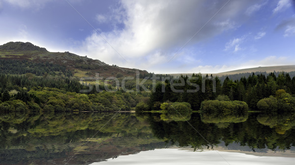 Burrator on Dartmoor Stock photo © flotsom