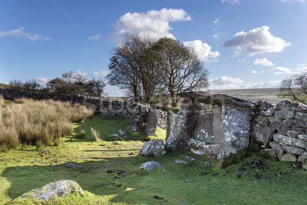 The Judge's Chair on Dartmoor Stock photo © flotsom