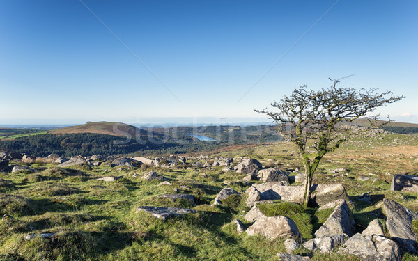 Dartmoor Stock photo © flotsom