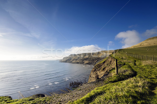 Stâncă coastă sud vest cale Imagine de stoc © flotsom