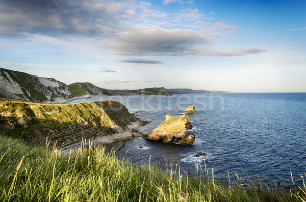 The Jurassic Coast in Dorset Stock photo © flotsom