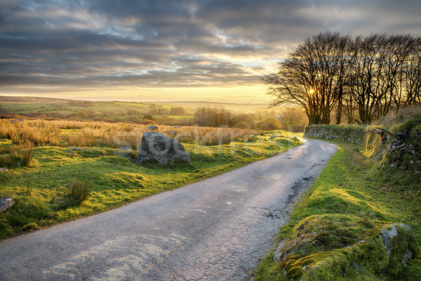 Bodmin Moor Stock photo © flotsom