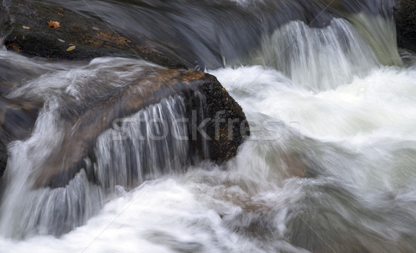 Rushing Water Stock photo © flotsom