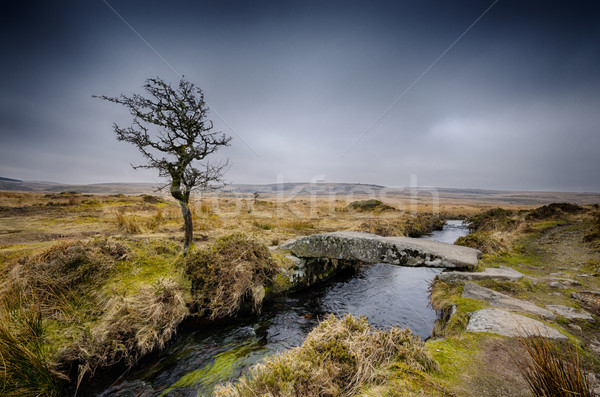 Winter on Dartmoor Stock photo © flotsom