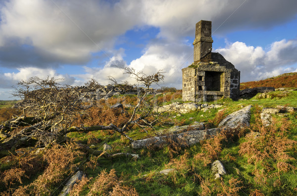 Carbilly Tor on Bodmin Moor Stock photo © flotsom