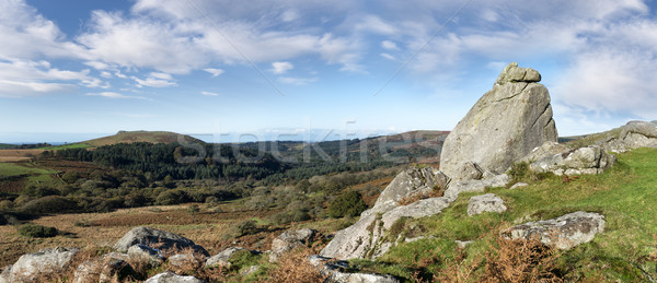 Foto stock: Parque · olhando · para · baixo · céu · árvore · floresta