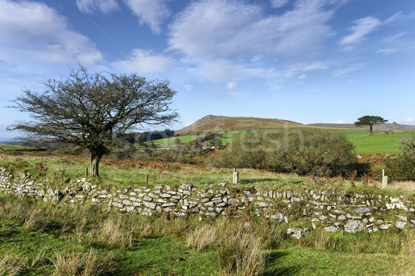 Dartmoor View Stock photo © flotsom