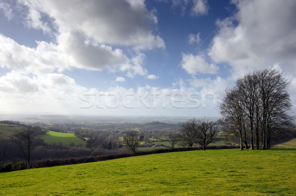 Angol vidék dombok üldözés felhők zöld Stock fotó © flotsom
