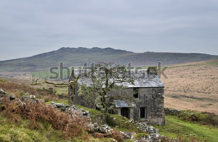 Garrow Tor Stock photo © flotsom