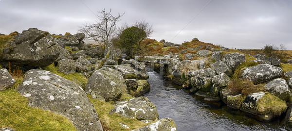 Walla Brook on Dartmoor Stock photo © flotsom