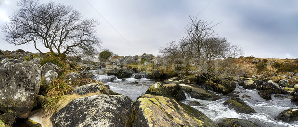 Stock photo: Walla Brook on Dartmoor