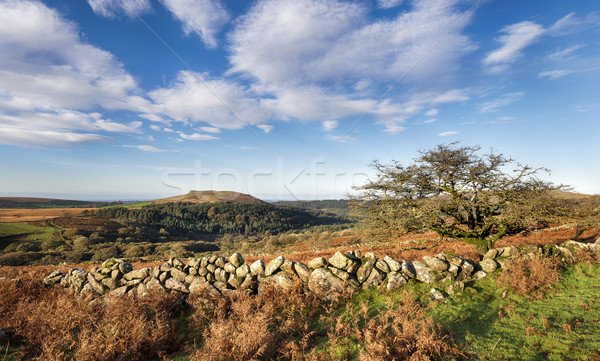Autumn on Dartmoor Stock photo © flotsom