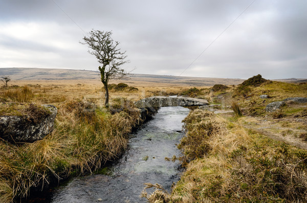 Winter on Dartmoor Stock photo © flotsom